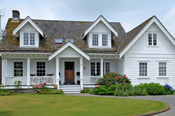 Mold Removal Services in Joppa, AL