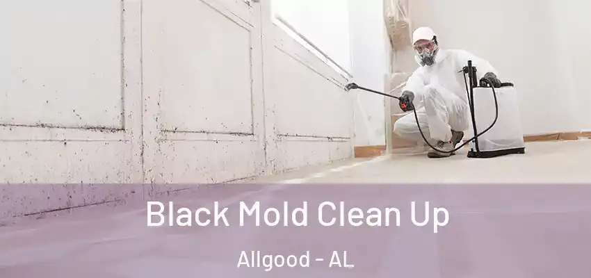 Black Mold Clean Up Allgood - AL