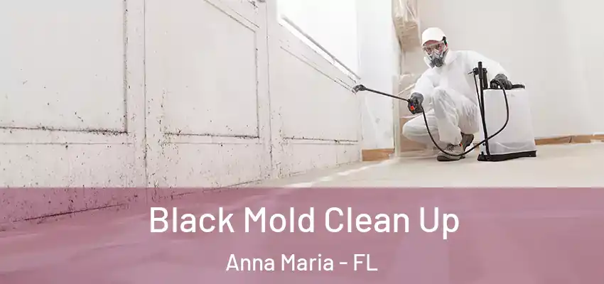 Black Mold Clean Up Anna Maria - FL