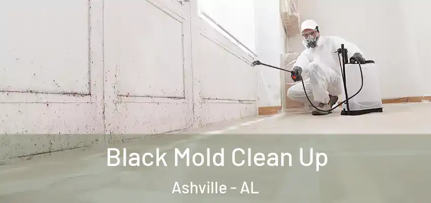 Black Mold Clean Up Ashville - AL