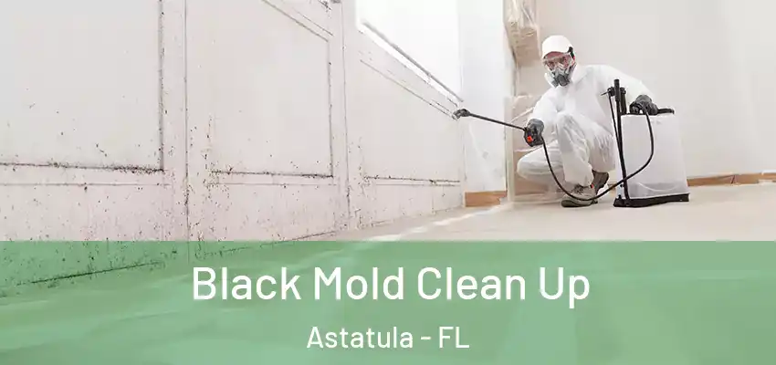  Black Mold Clean Up Astatula - FL