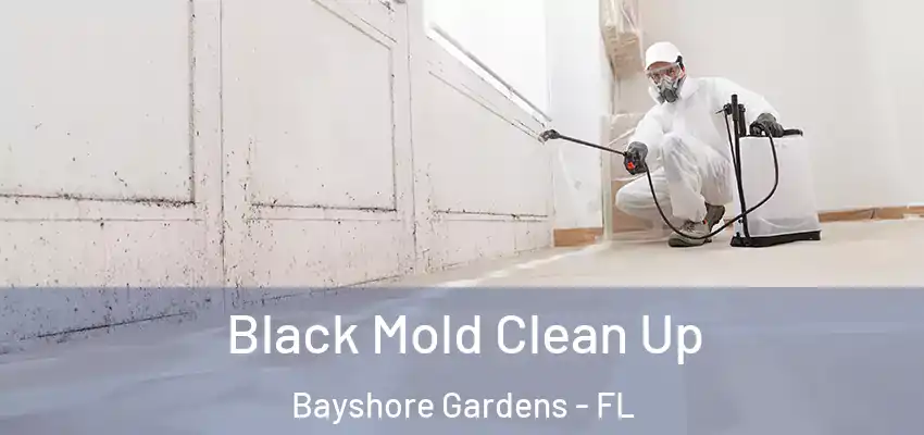  Black Mold Clean Up Bayshore Gardens - FL