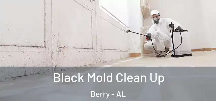 Black Mold Clean Up Berry - AL