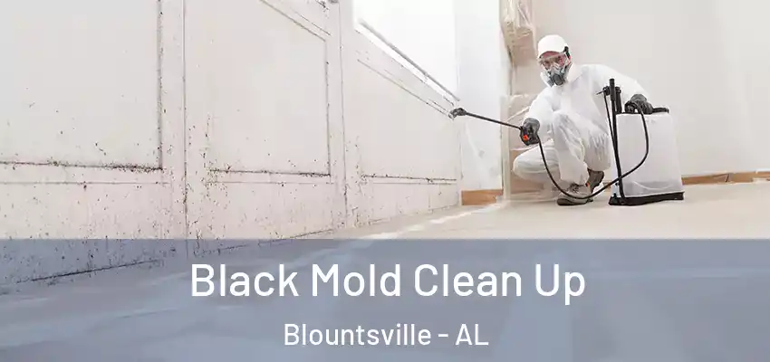 Black Mold Clean Up Blountsville - AL