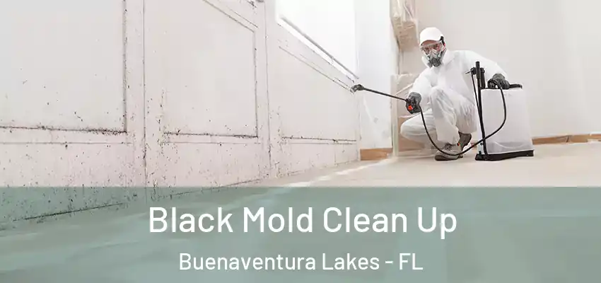  Black Mold Clean Up Buenaventura Lakes - FL