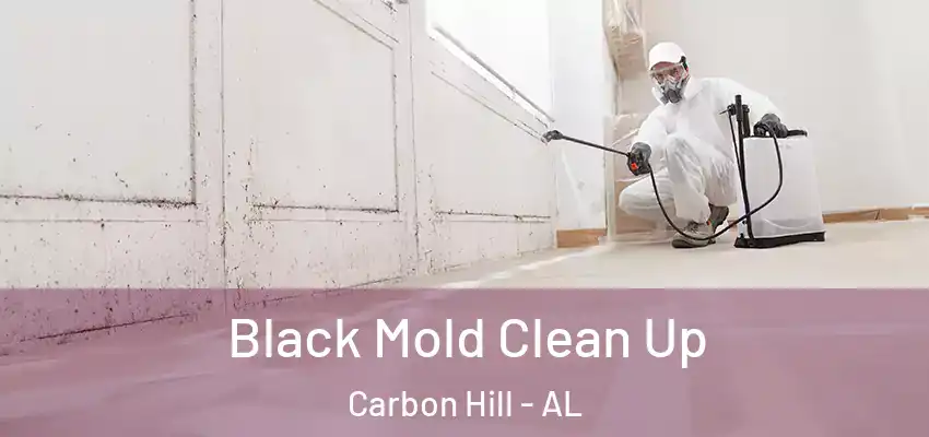 Black Mold Clean Up Carbon Hill - AL