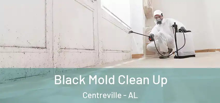  Black Mold Clean Up Centreville - AL