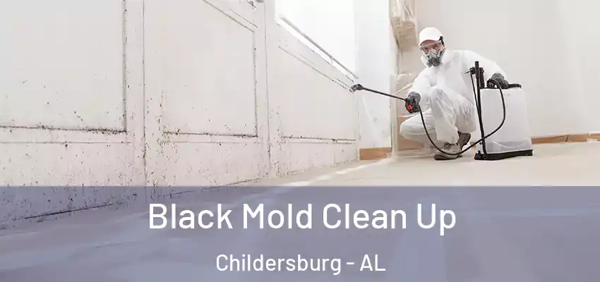  Black Mold Clean Up Childersburg - AL