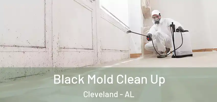  Black Mold Clean Up Cleveland - AL