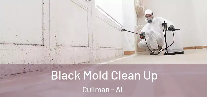  Black Mold Clean Up Cullman - AL
