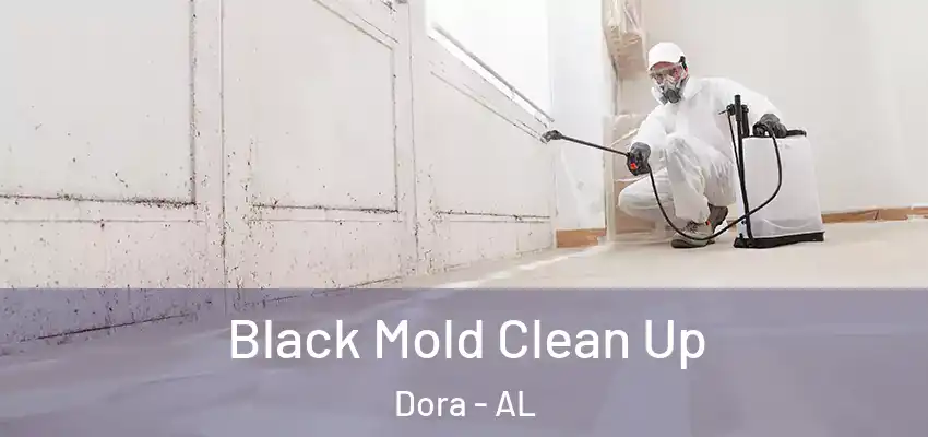  Black Mold Clean Up Dora - AL