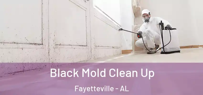  Black Mold Clean Up Fayetteville - AL