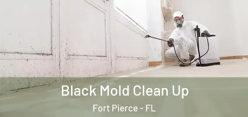  Black Mold Clean Up Fort Pierce - FL