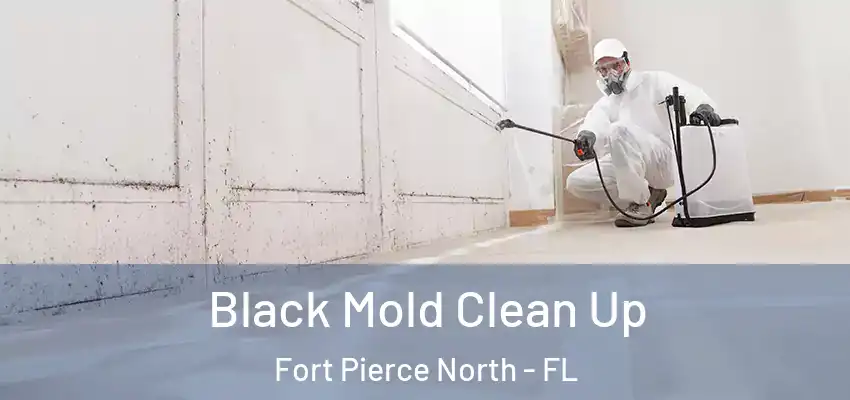  Black Mold Clean Up Fort Pierce North - FL