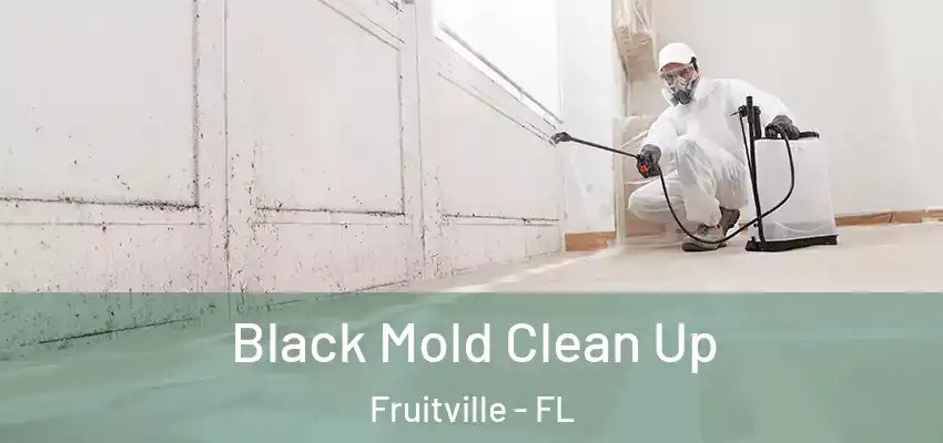  Black Mold Clean Up Fruitville - FL