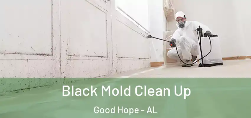  Black Mold Clean Up Good Hope - AL