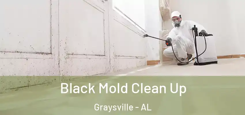  Black Mold Clean Up Graysville - AL