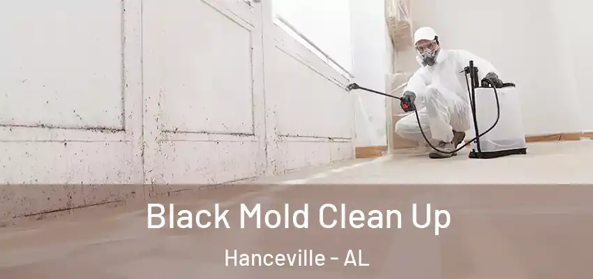 Black Mold Clean Up Hanceville - AL