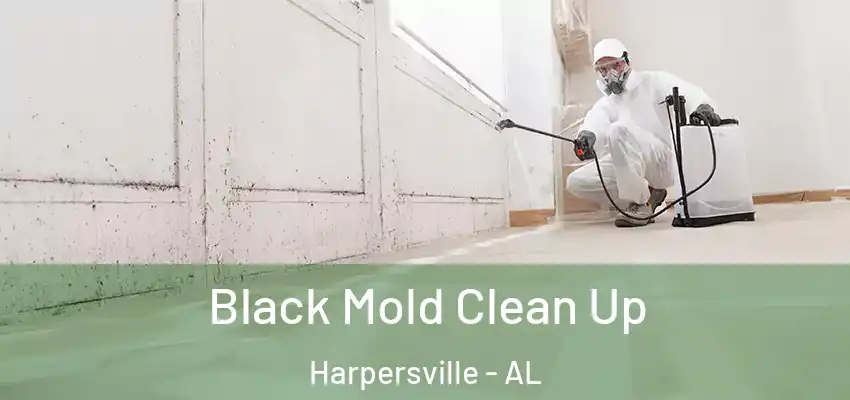  Black Mold Clean Up Harpersville - AL