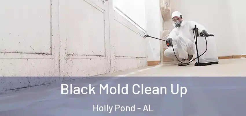 Black Mold Clean Up Holly Pond - AL