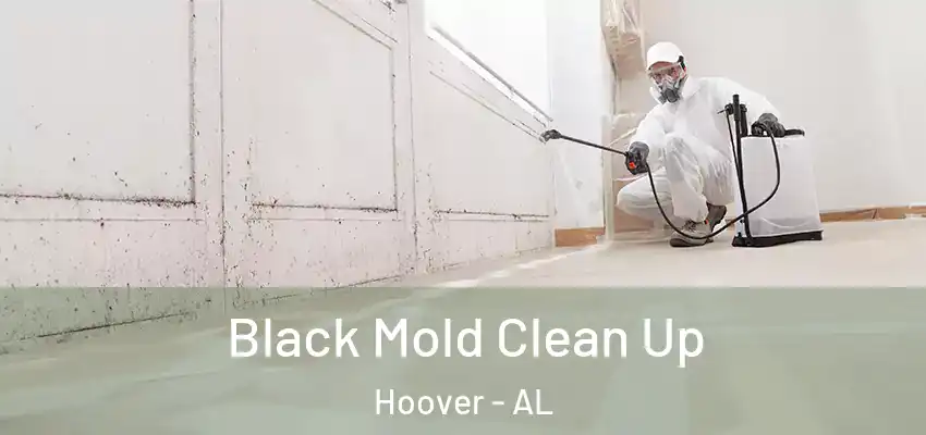 Black Mold Clean Up Hoover - AL