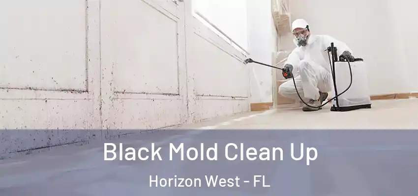  Black Mold Clean Up Horizon West - FL