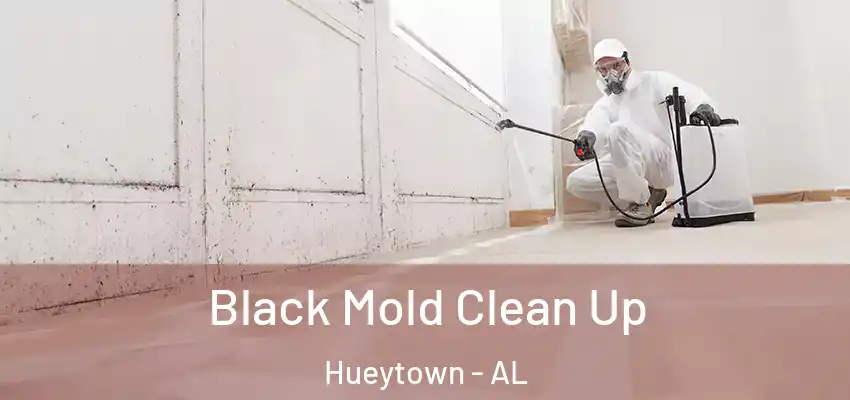  Black Mold Clean Up Hueytown - AL