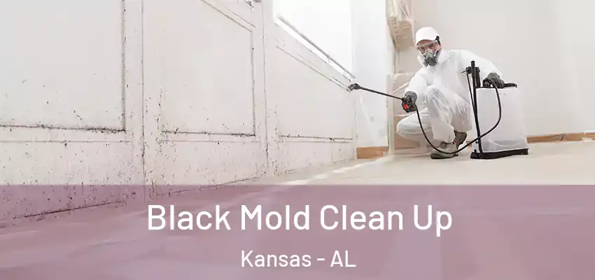  Black Mold Clean Up Kansas - AL
