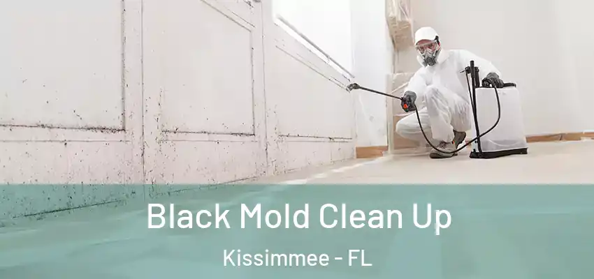 Black Mold Clean Up Kissimmee - FL