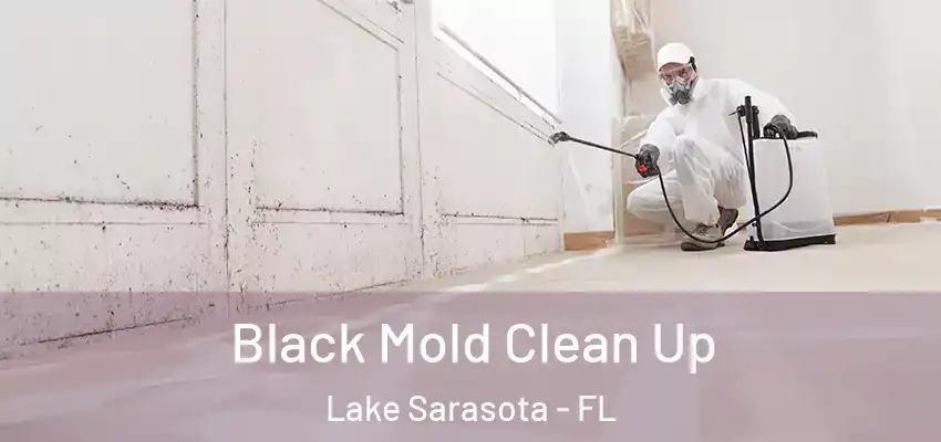  Black Mold Clean Up Lake Sarasota - FL