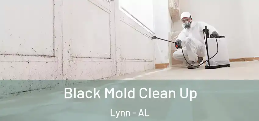  Black Mold Clean Up Lynn - AL