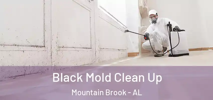  Black Mold Clean Up Mountain Brook - AL