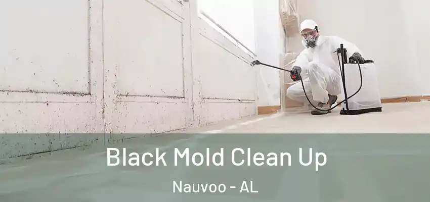 Black Mold Clean Up Nauvoo - AL