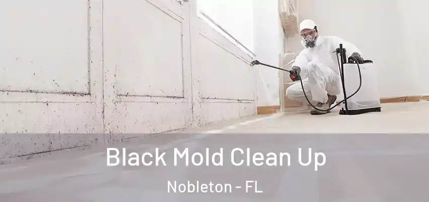  Black Mold Clean Up Nobleton - FL