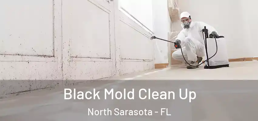  Black Mold Clean Up North Sarasota - FL