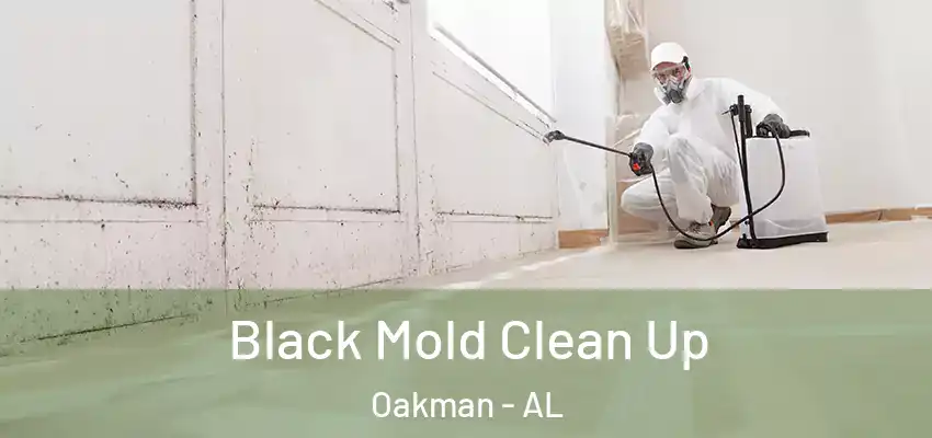 Black Mold Clean Up Oakman - AL