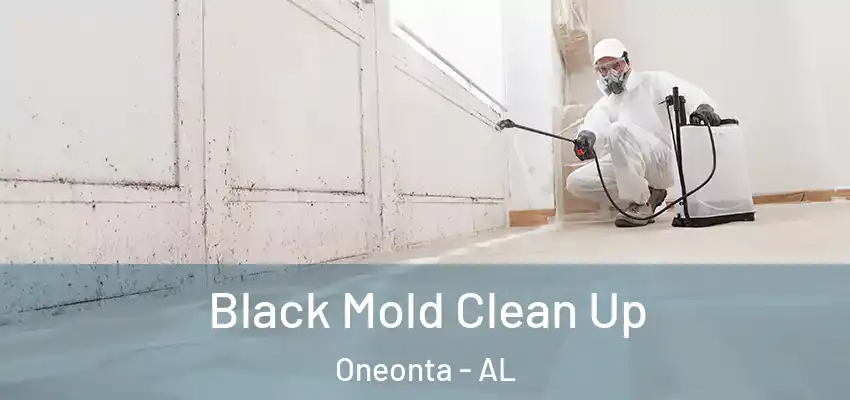  Black Mold Clean Up Oneonta - AL