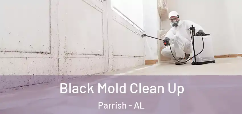  Black Mold Clean Up Parrish - AL