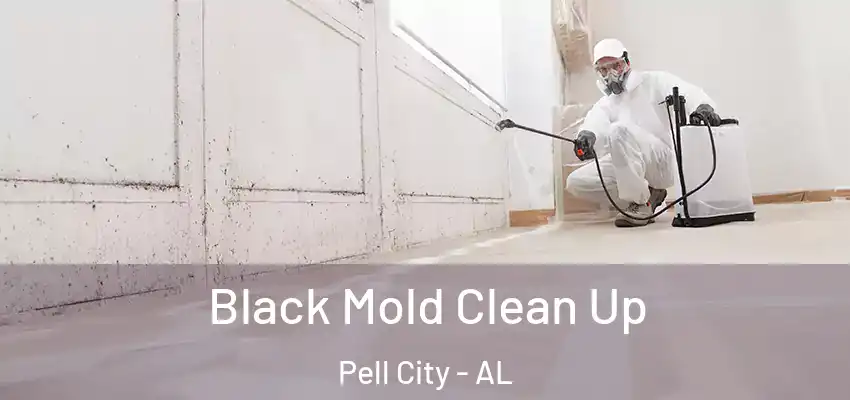  Black Mold Clean Up Pell City - AL