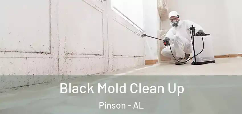 Black Mold Clean Up Pinson - AL
