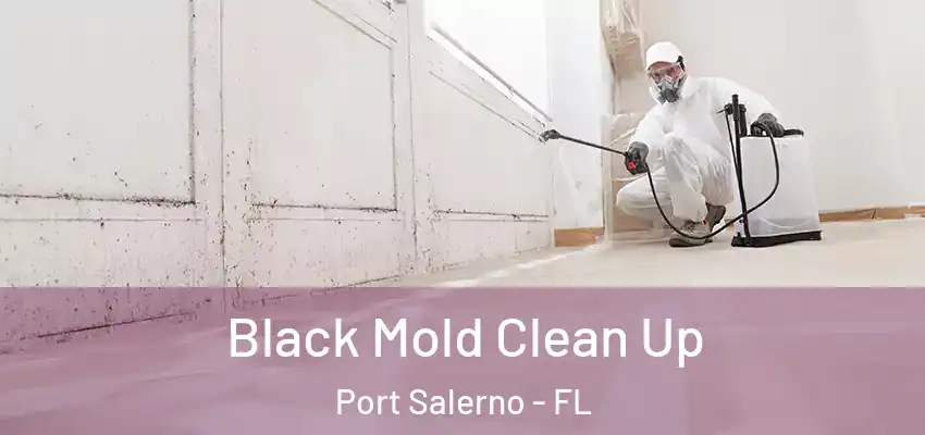 Black Mold Clean Up Port Salerno - FL