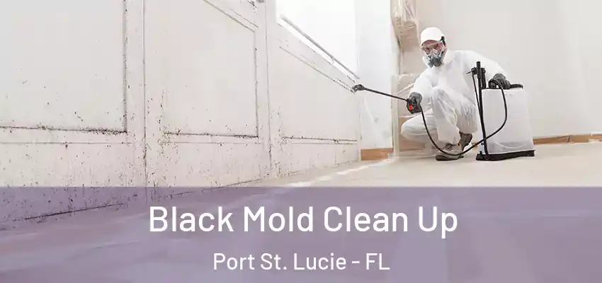  Black Mold Clean Up Port St. Lucie - FL