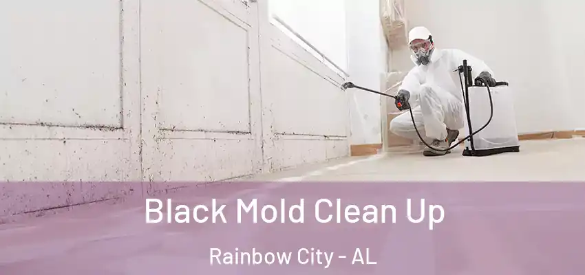 Black Mold Clean Up Rainbow City - AL