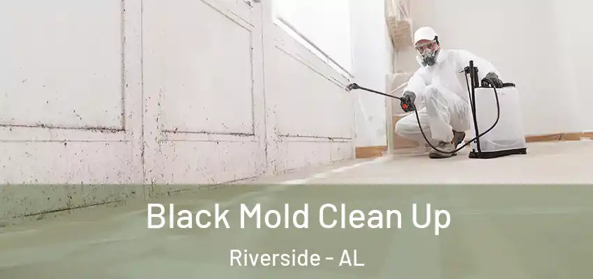  Black Mold Clean Up Riverside - AL