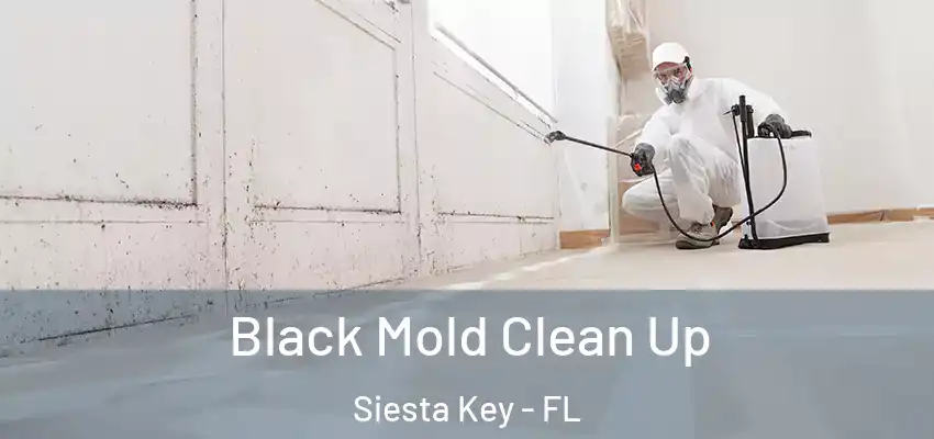  Black Mold Clean Up Siesta Key - FL