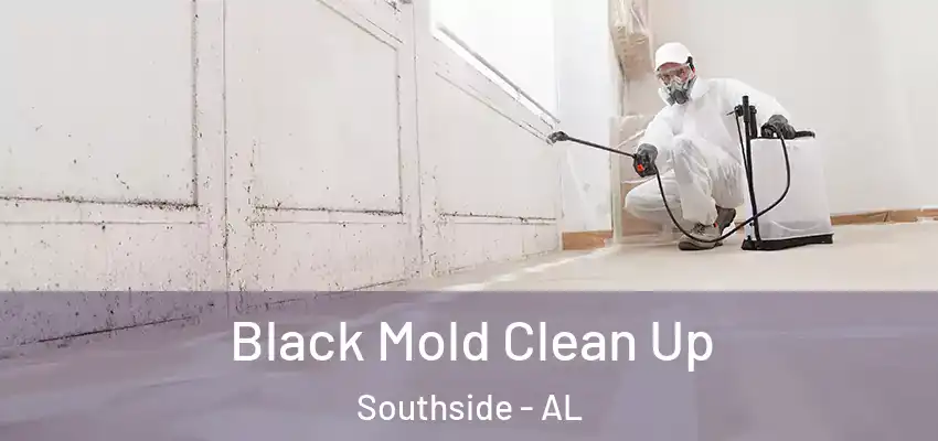  Black Mold Clean Up Southside - AL