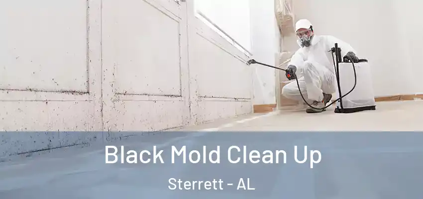  Black Mold Clean Up Sterrett - AL