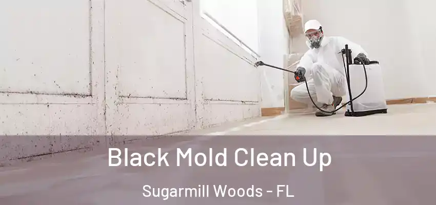  Black Mold Clean Up Sugarmill Woods - FL
