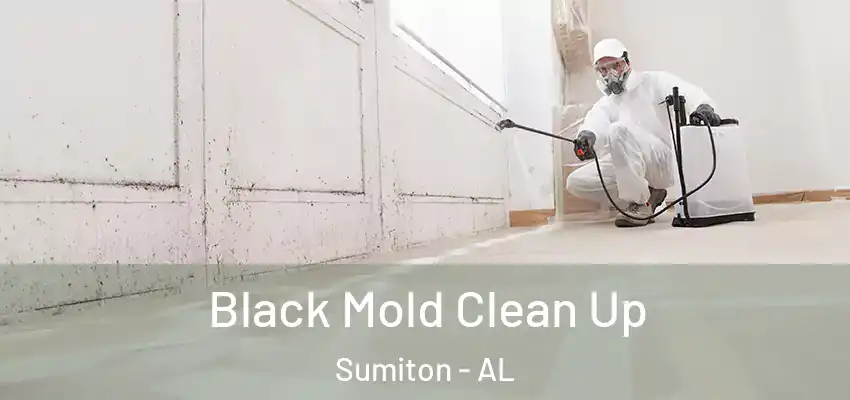 Black Mold Clean Up Sumiton - AL