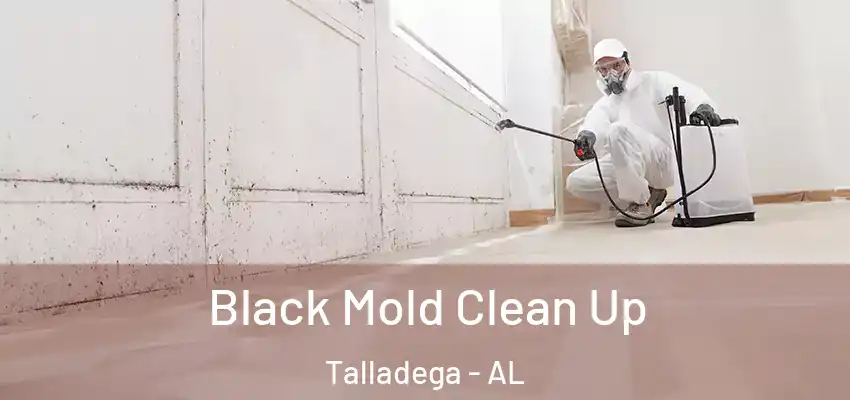 Black Mold Clean Up Talladega - AL
